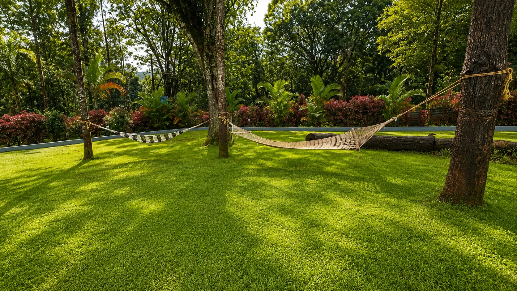 Garden 2